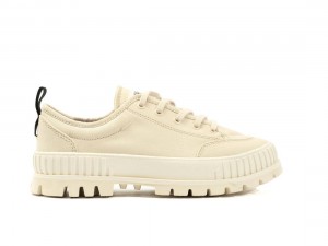 Cream Men Palladium Pallashock Lo Organic 2 Sneakers | US-OL1732068