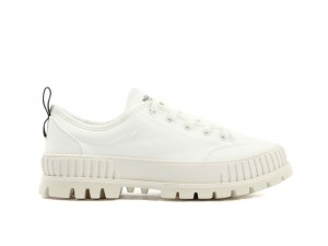 White Men Palladium Pallashock Lo Organic 2 Sneakers | US-NM3750942